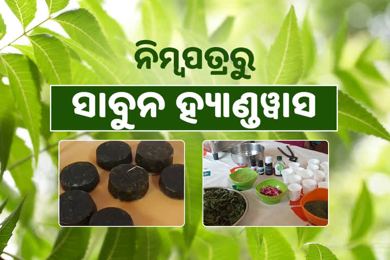 Seba samaj in a self-reliant way, Soap and handwash made of neem leaves