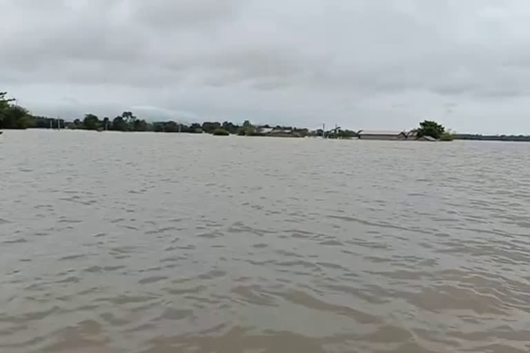 ASSAM FLOOD UPDATE