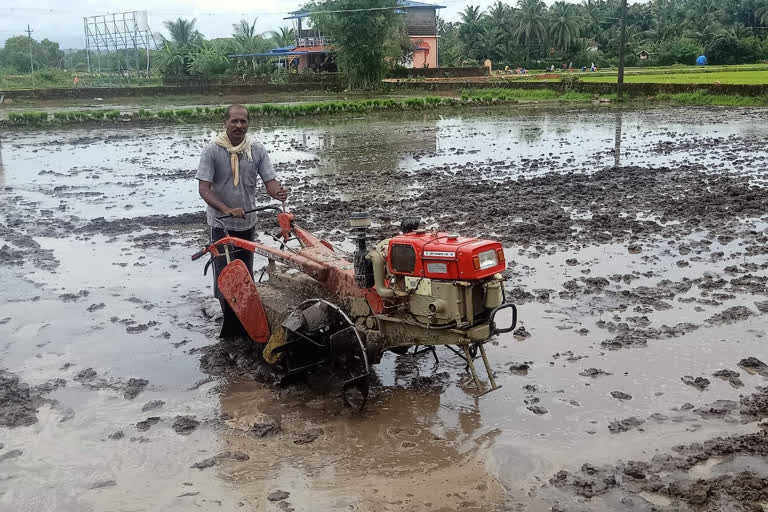 Lawyer doing agriculture in unlock period