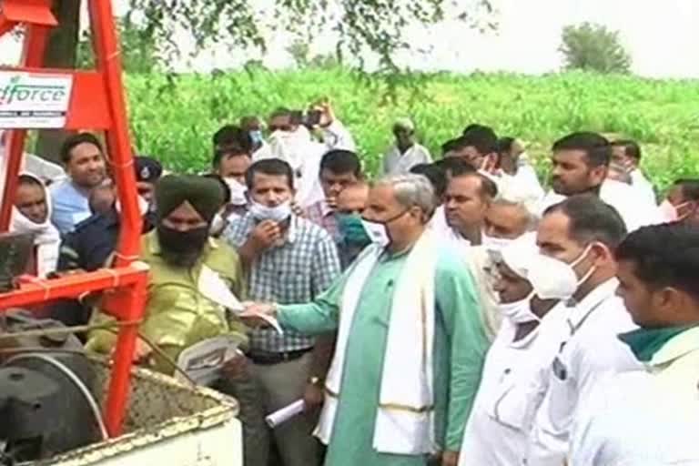 Agriculture Minister jp dalal visits chahad Kalan village affected by locust