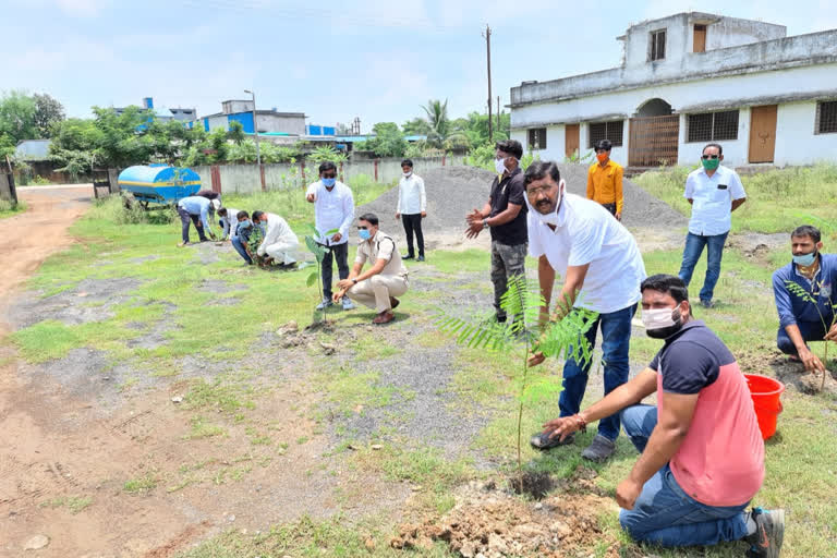 plantation on Kargil Vijay Day