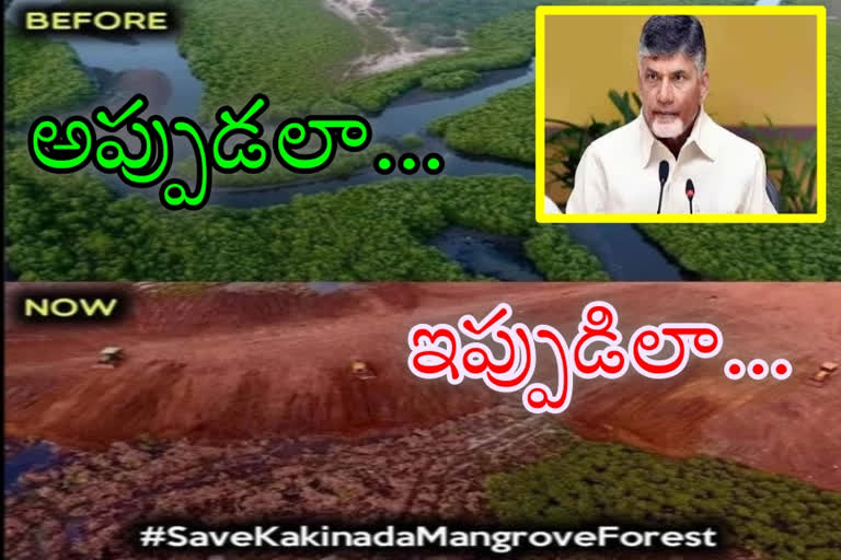 chandrababu twee