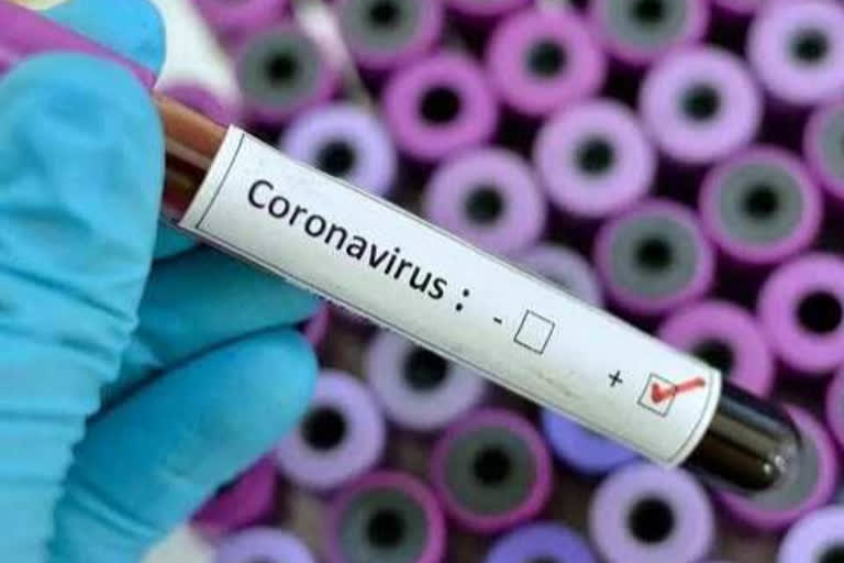 Nine more cases of corona virus in Ladakh