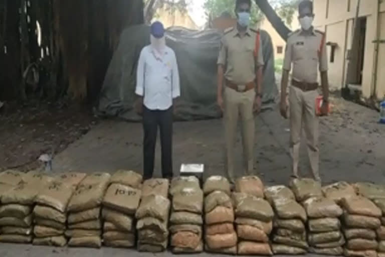 Cannabis illegal transport in chilakaluripet guntur district