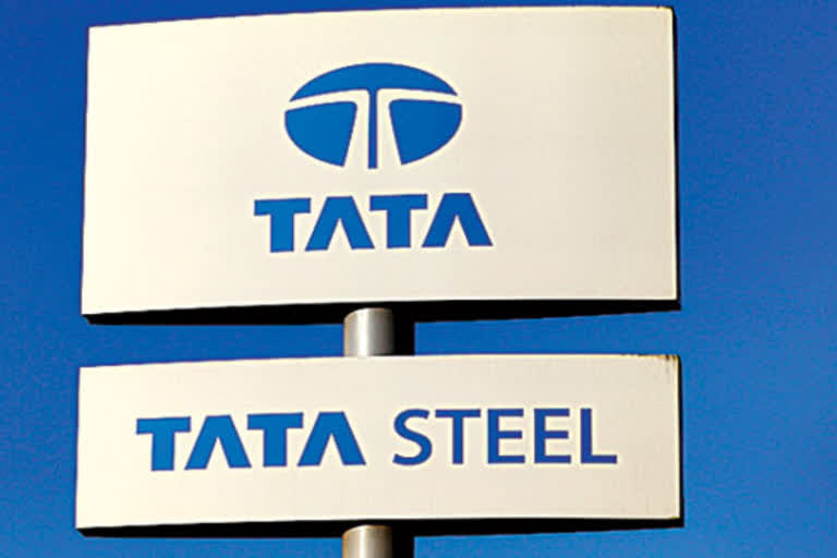 tata steel uk plant stake sale