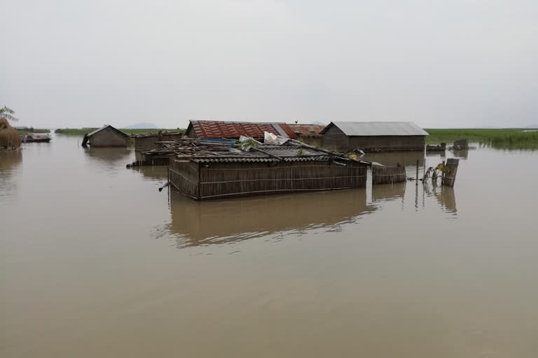 ASSAM FLOOD UPDATE