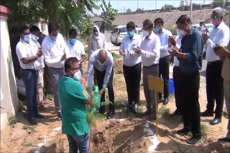 Palwal DC start Plantation campaign