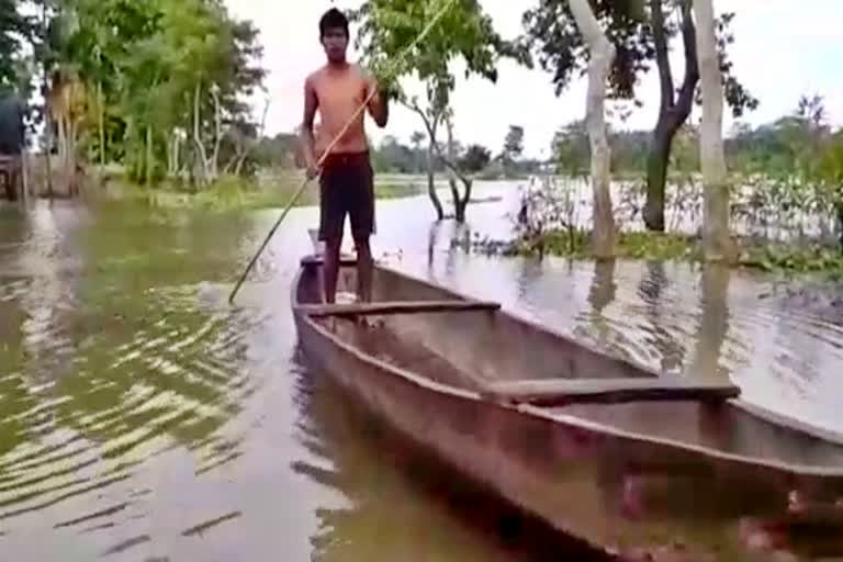 Lack of space for burial in Golaghat due to flood assam etv bharat news