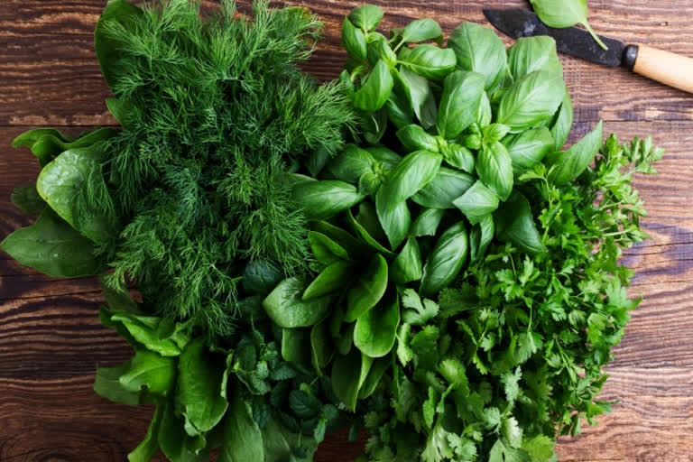 green leafy vegetables, monsoon