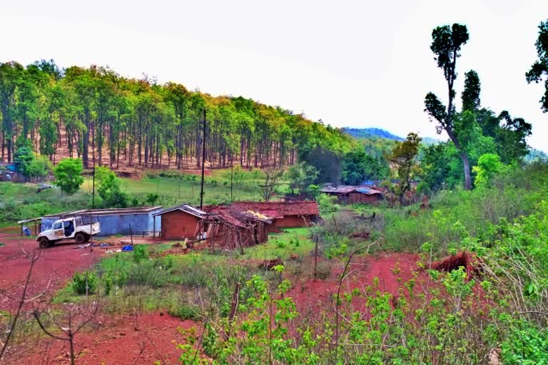 वन विभाग करेगा शुल्क जमा