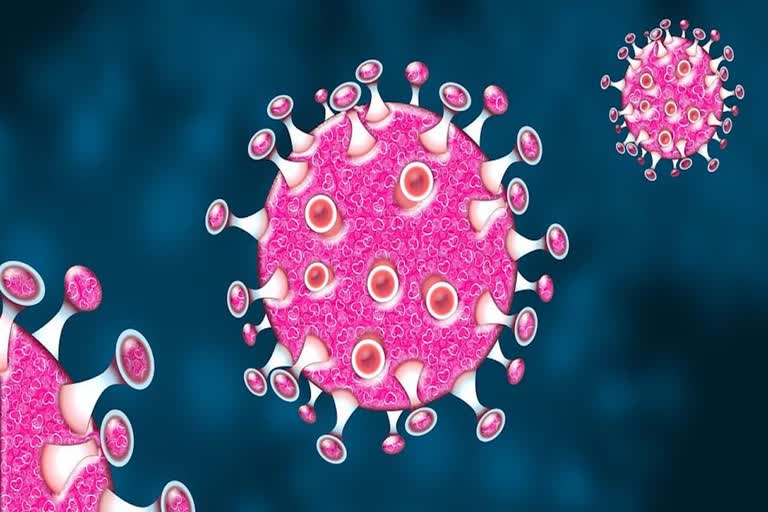 Sirohi Corona Virus News, कोरोना वायरस न्यूज राजस्थान