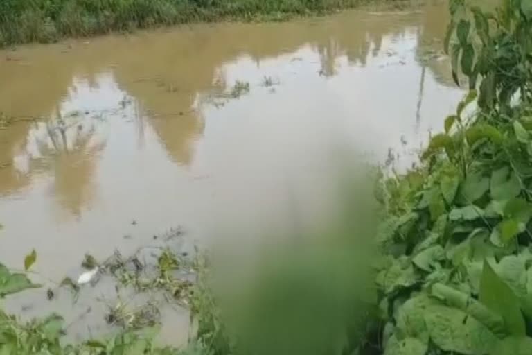 Jagatsinghpur police recovers Unknown decomposed body from Machhagaon canal, near sekapatana