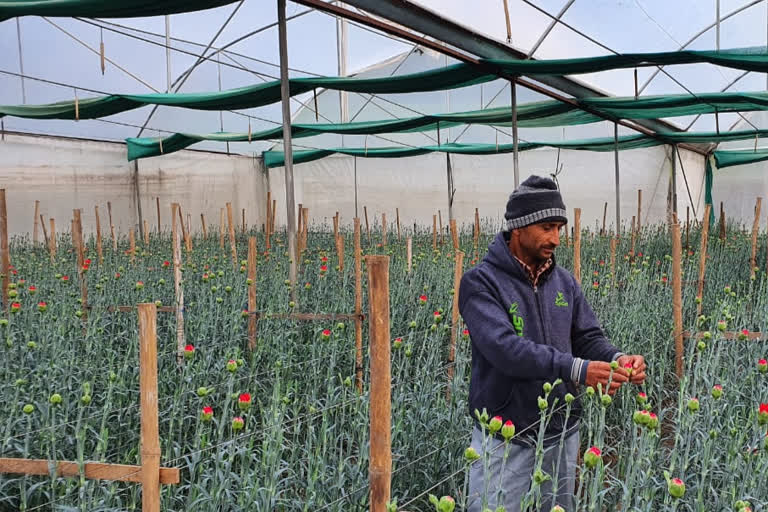 State government will give 20% compensation to flower growers