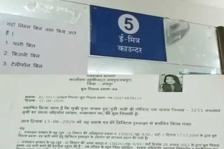 फर्जी प्रमाण पत्र  fake certificates  जयपुर की खबर  क्या होती है SSO ID  डुप्लीकेट SSO ID  राजस्थान की खबर