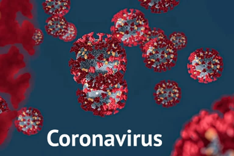 coronavirus positive in kangra