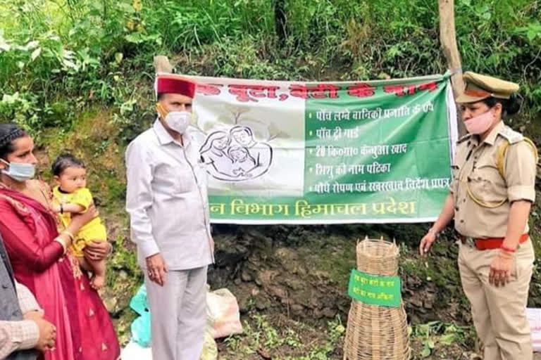 MP Ramswaroop Sharma  in kullu