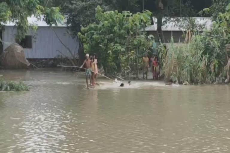 Assam Flood Situation Improves But Over 22 Lakh Still In Distress