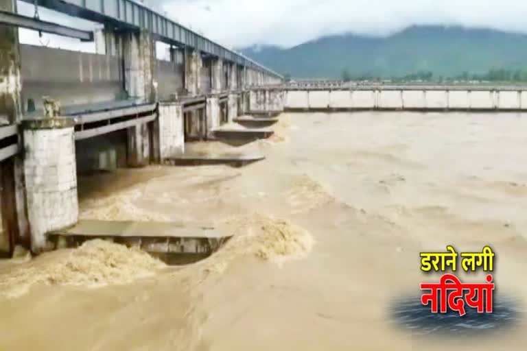 Alert issued due to rising water level of gandak and heavy rains in bagha