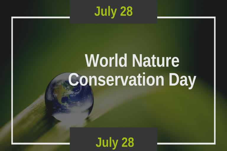 july 28 CELEBRATED AS world nature conservation day,ways to save the environment