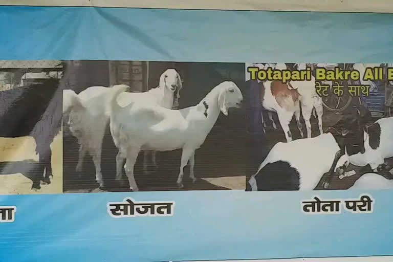 बकरों की ऑनलाइन बिक्री