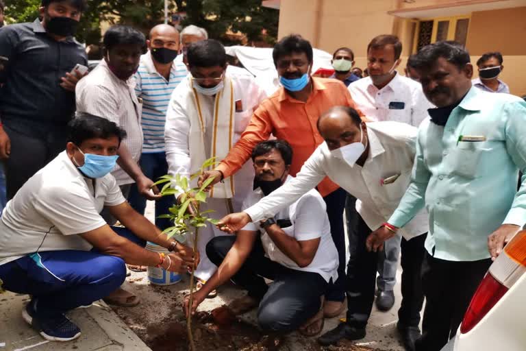 minister-gopalya-drive-to-plant-saplings