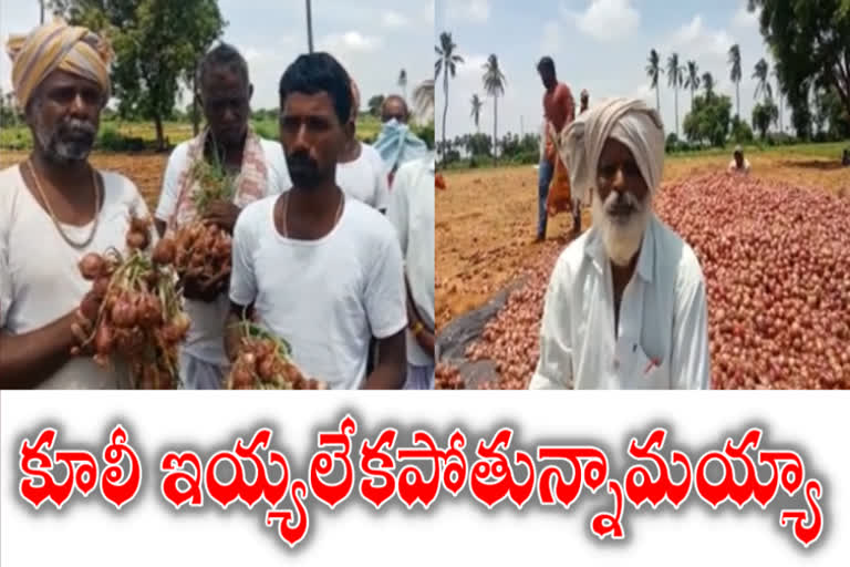 onion farmers struggles