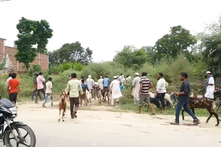 police crackdown on goat buyers and sellers in rampur uttar pradesh