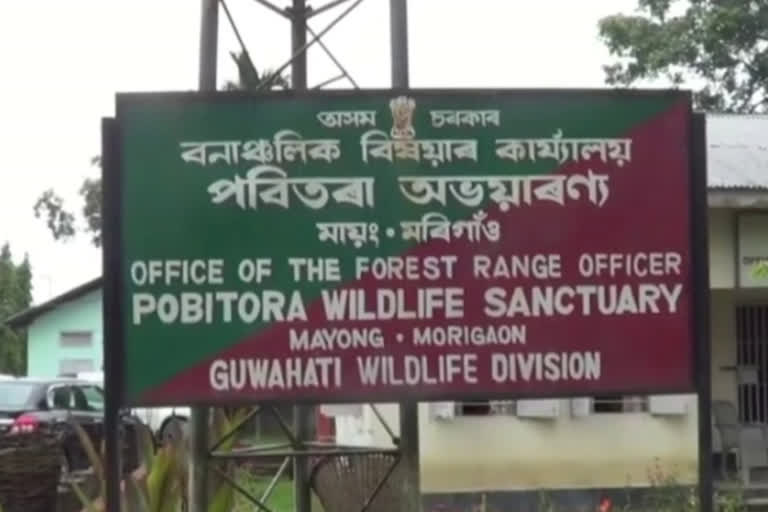 Morigaon pabitora wildlife flood update