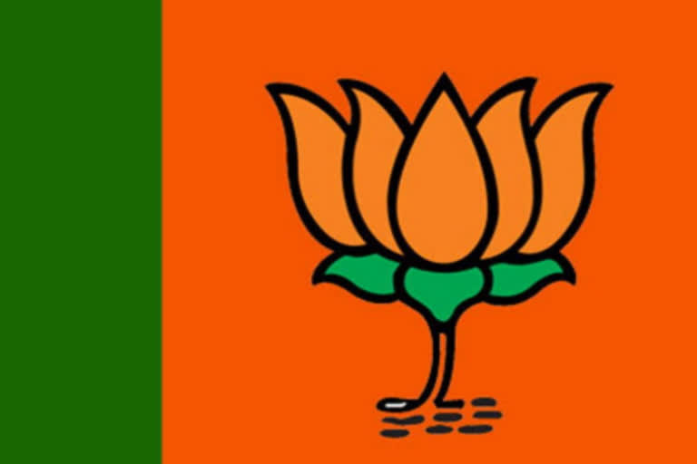 bjp logo