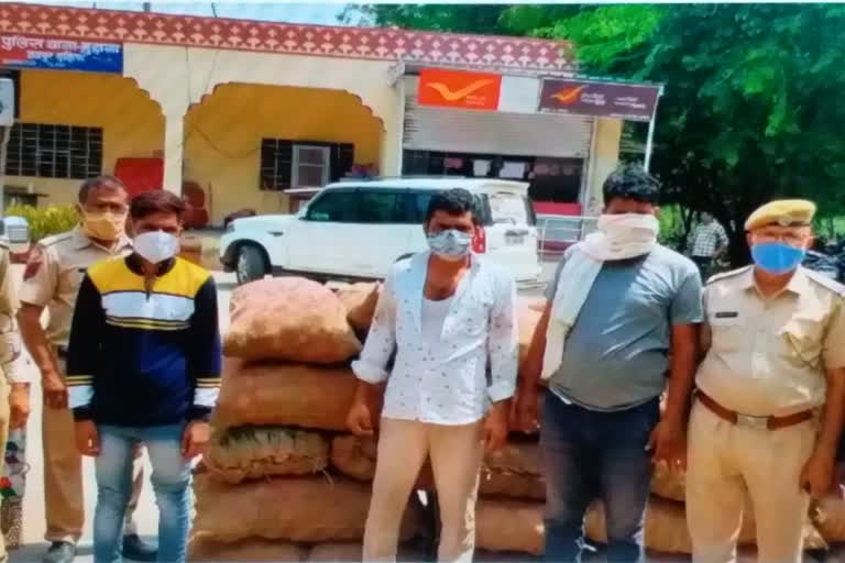 Vegetable Theft Gang Revealed, Vegetable Theft in Muhana Mandi