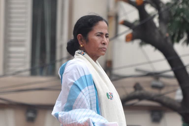 mamta banerjee