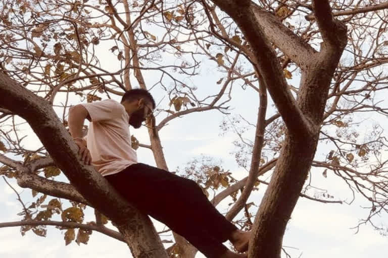 virat kohli tree climb latest news