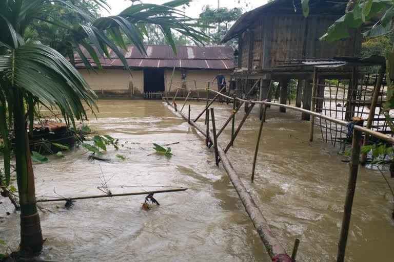 അസമിലെ വെള്ളപ്പൊക്കം  Assam flood 2020  ഗുവാഹത്തി  അസം  വെള്ളപ്പൊക്കം