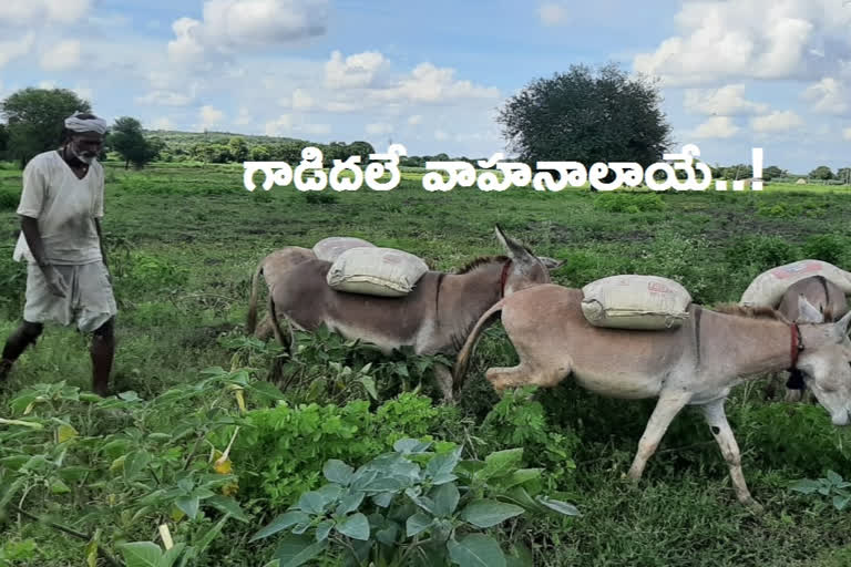 construction material moving with donkeys in sangareddy district