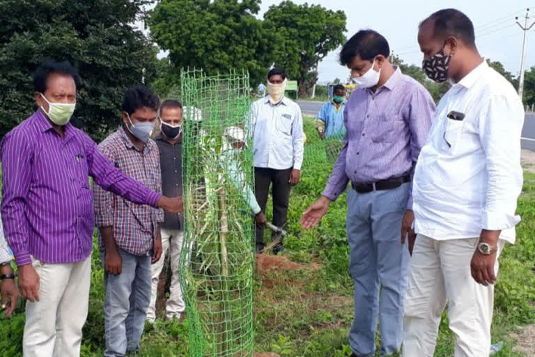 మెట్‌పల్లిలో హరితహారం కార్యక్రమం