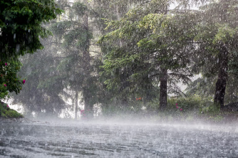 rain kerala  rain forecat  heavy rain kerala  കേരളത്തിൽ കനത്ത മഴ  കനത്ത മഴ  ഓറഞ്ച് അലര്‍ട്ട്