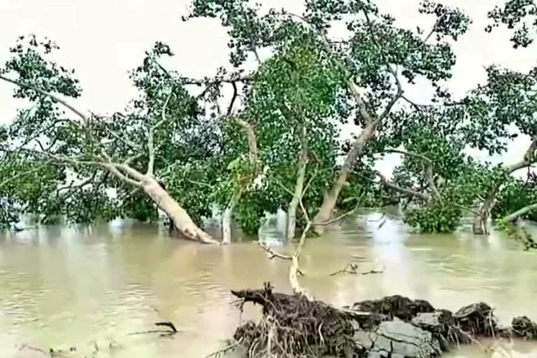 Human death troll rise to 104 in Assam Flood