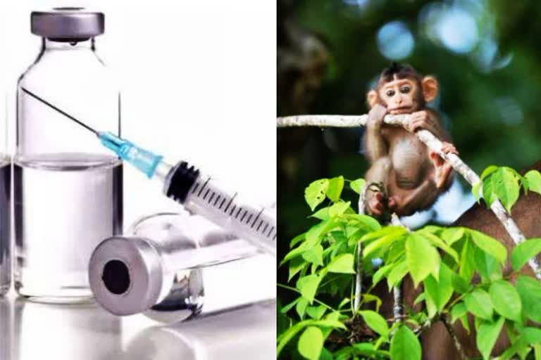 moderna-coronavirus-vaccine-shows-successfully-responses-in-monkeys