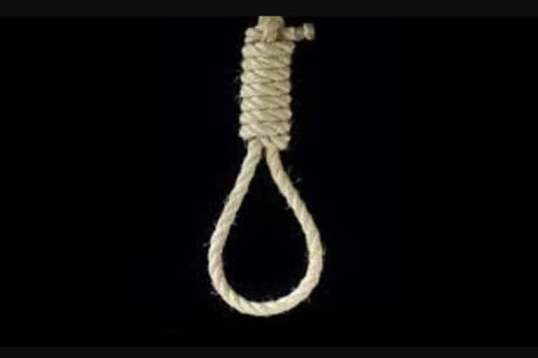 12th student commits suicide