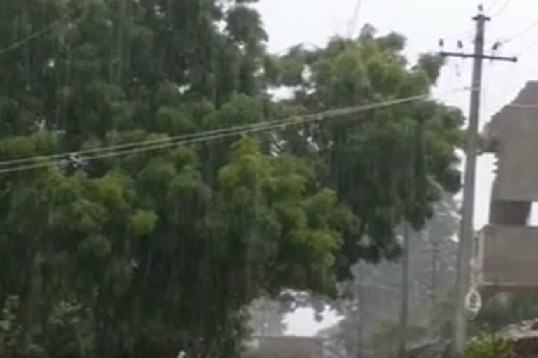 rain in siddipeta district