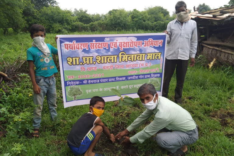 Plantation Program organized