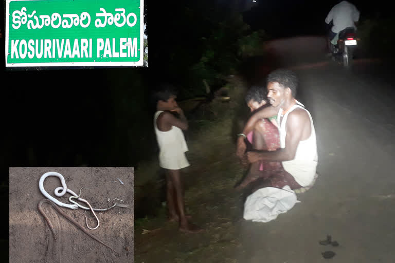 villagers sleep on roads because fear of snakes in krishna district