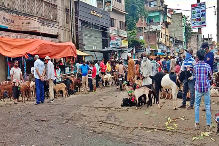 bad condtion of goat seller in ranchi