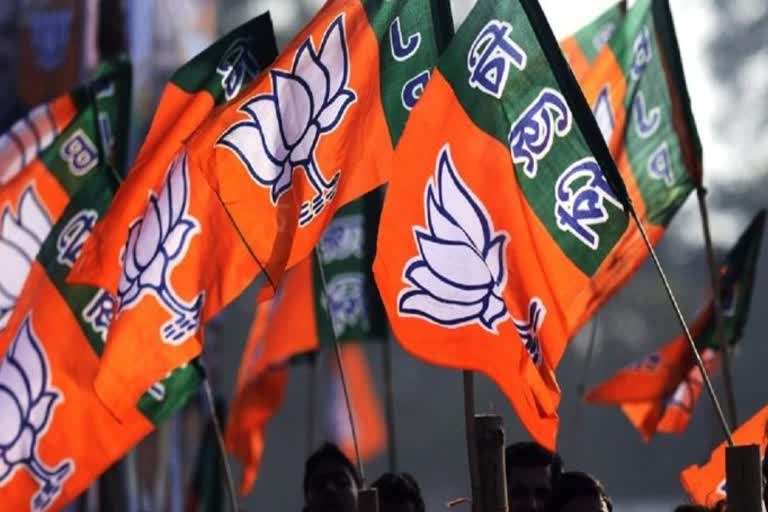 bjp announced new district working committee,  district working committee in rajsamand,  new district working committee in rajsamand , district working committee