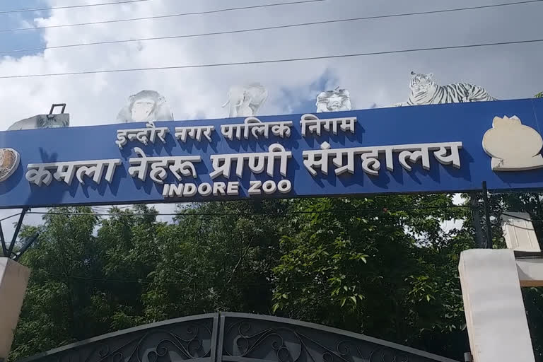 Kamala Nehru Zoo