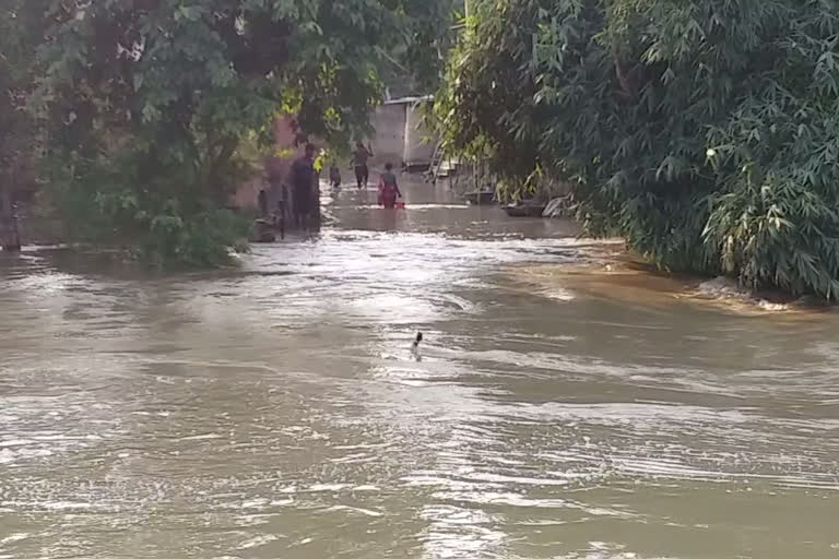 motihari district flood news