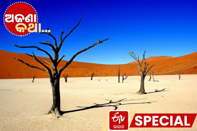 Unknown facts about Deadvlei, Deadvlei,   Beautiful Yet Dead Forest,World’s Highest Sand Dunes, ମନୋରମ କିନ୍ତୁ ମୃତ ଜଙ୍ଗଲ, ଡେଡ୍‌ ଭ୍ଲେଇ, ନାମିବିଆର ନାମିବ-ନଉକଲପ୍ଟ ପାର୍କ,  Unknown facts, ଅଜଣା କଥା