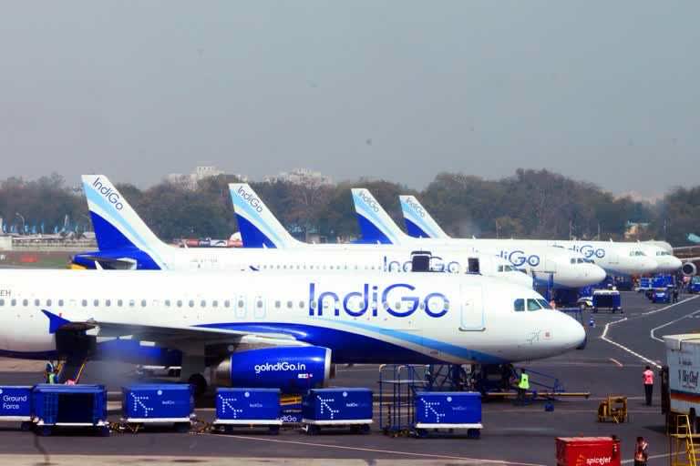 IndiGo reports Q1 loss at Rs 2,844 crore, revenue dips 92pc YoY to Rs 767 cr