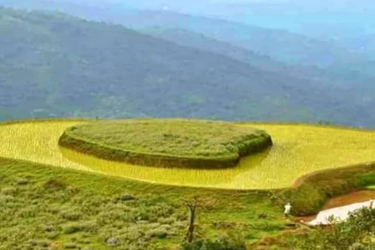 ಬೆಟ್ಟಗಳ ಮಧ್ಯೆ ಹೃದಯಾಕಾರದ ಹಚ್ಚ ಹಸಿರಿನ ಜಾಗ