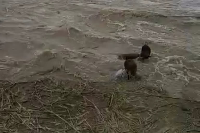 Two villagers flowing in sharp edge of water